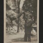 schwarzweiß Fotografie: Ein Mann im Anzug gibt einem Elefanten Futter