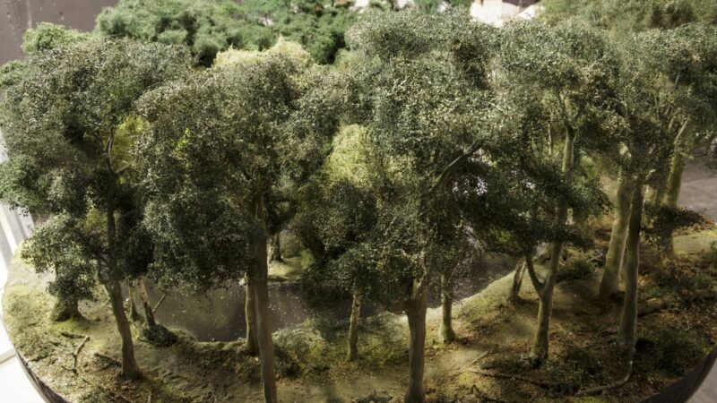 Blick auf ein Modell mit grünen Bäumen